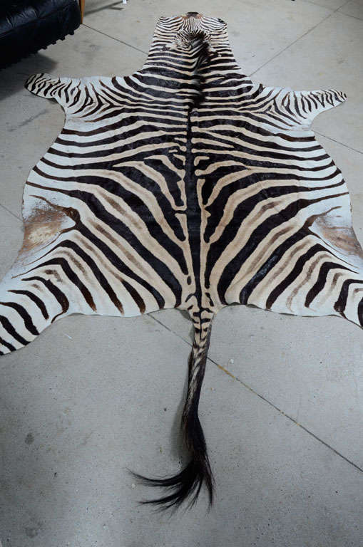 Zebra Hide Zebra rug