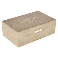 Shagreen Box