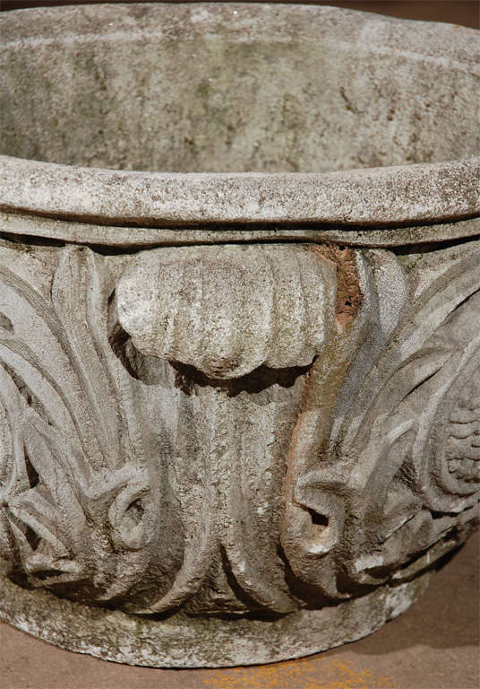 Cast Concrete Planter with Acanthus Leaf Detail 1