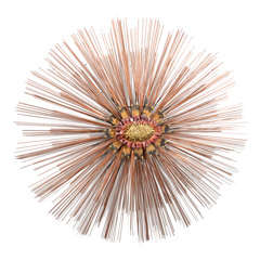 Sunburst Wall Sculpture by William Friedle