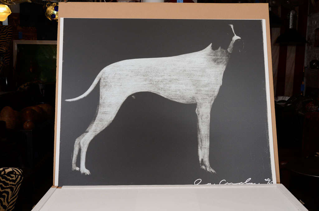 American Usa Large Hound Prints For Sale