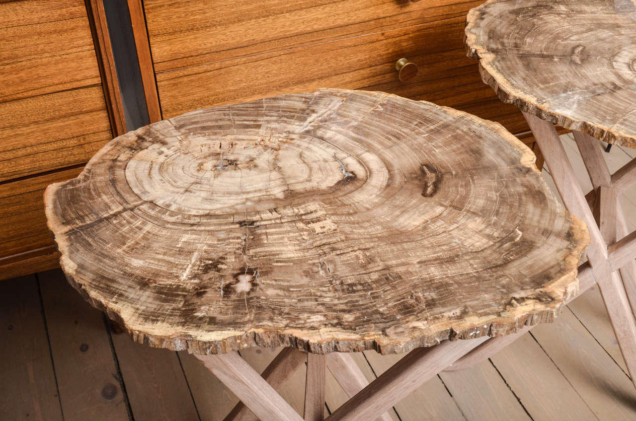 Mid-Century Modern Petrified Wood Top Table