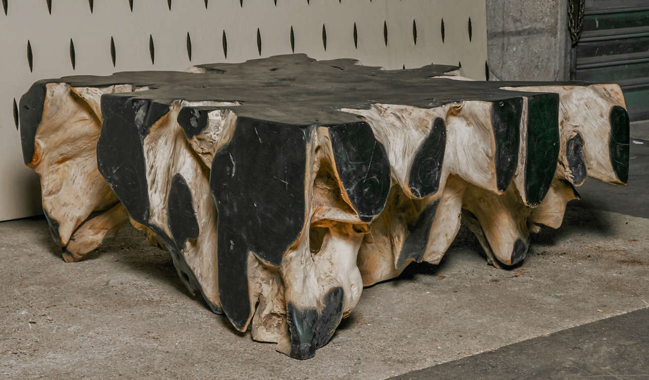 20th Century African Root Coffee Table For Sale 3