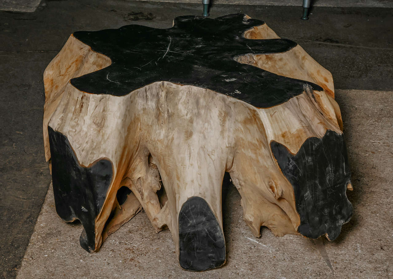 Mid-20th Century 20th Century African Root Coffee Table For Sale