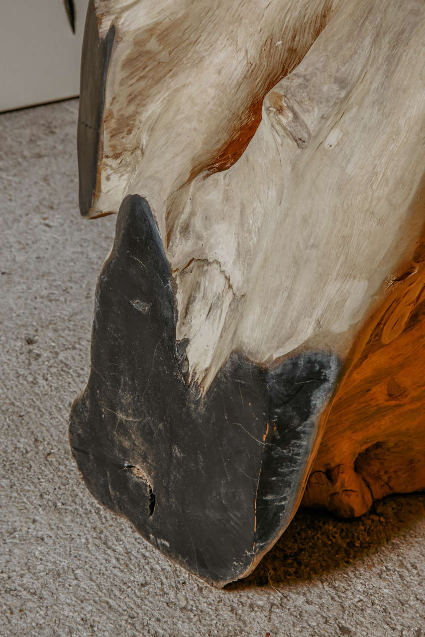 20th Century African Root Coffee Table For Sale 1