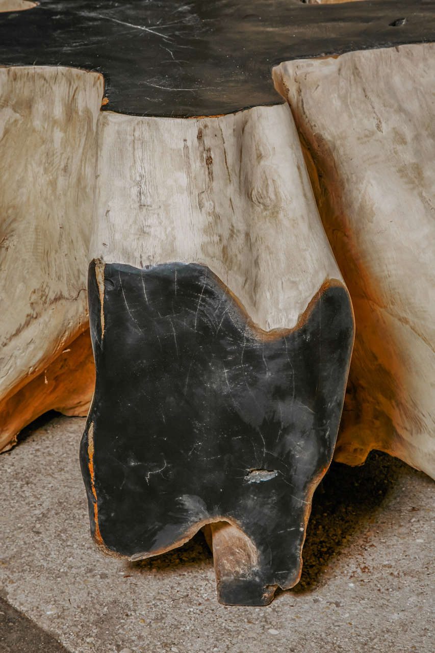 20th Century African Root Coffee Table For Sale 3