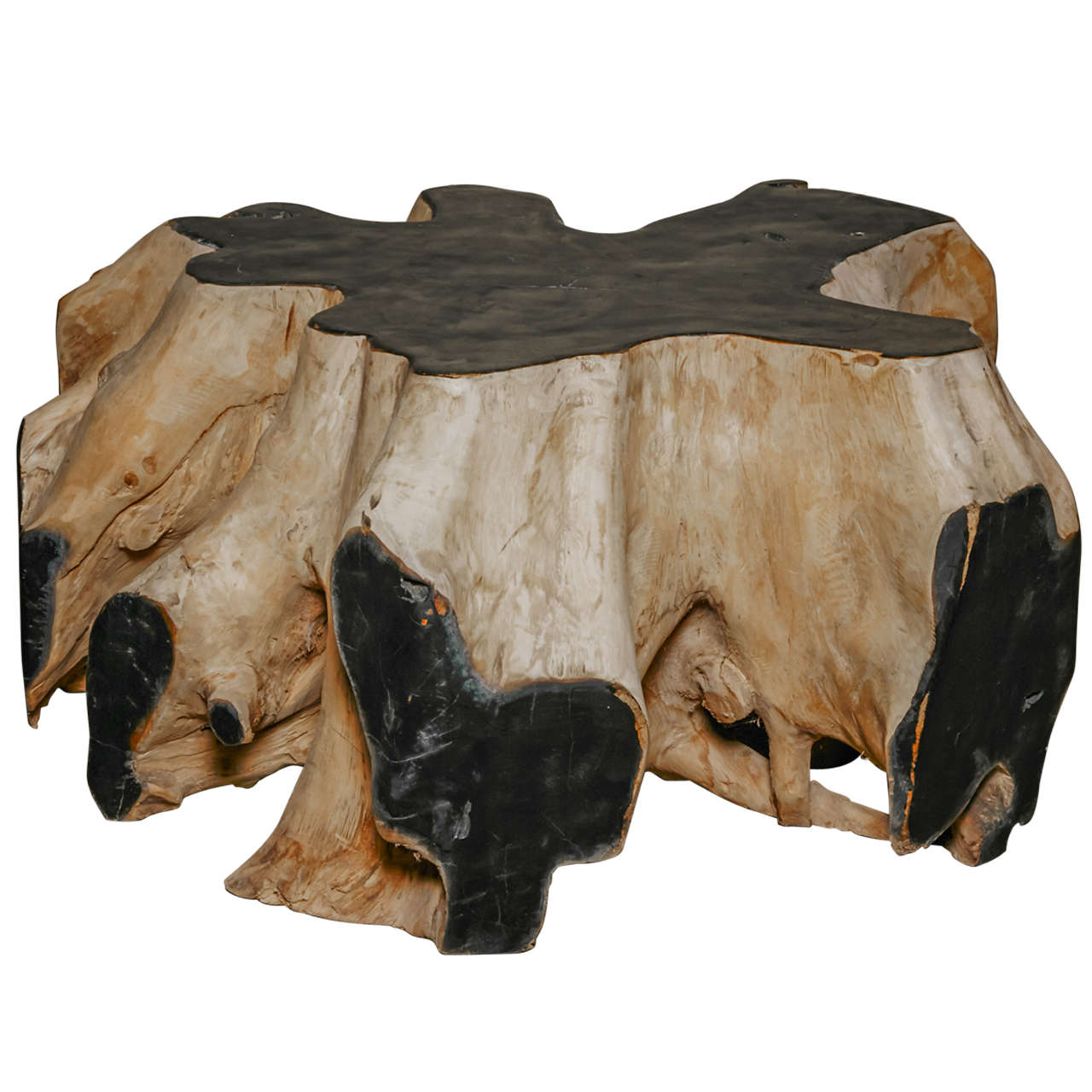 20th Century African Root Coffee Table For Sale
