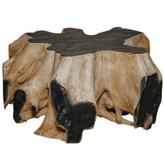 20th Century African Root Coffee Table