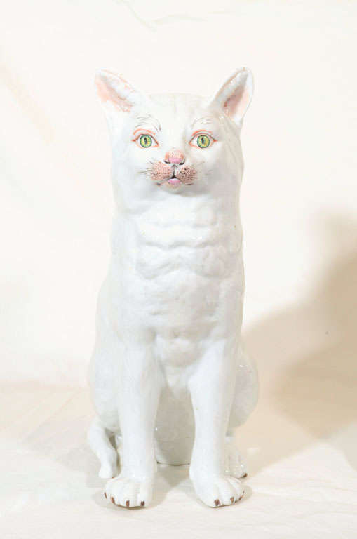 porcelain white cat