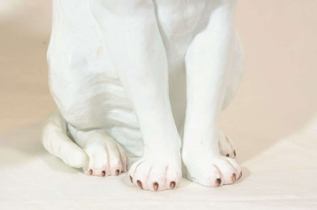 A Pair of Large White Porcelain Cats at 1stdibs