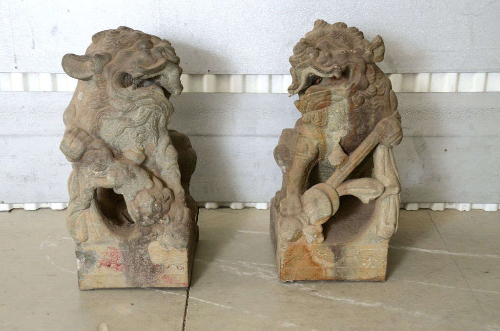 Pair of late 18th-early 19th century Qing dynasty carved stone Beijing foo dogs.
