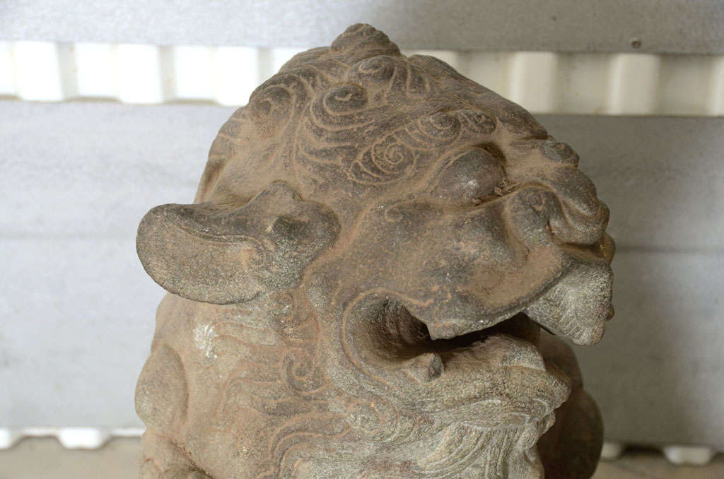 Pair of Late 18th Century Qing Dynasty Peking Carved Limestone Foo Dogs 1
