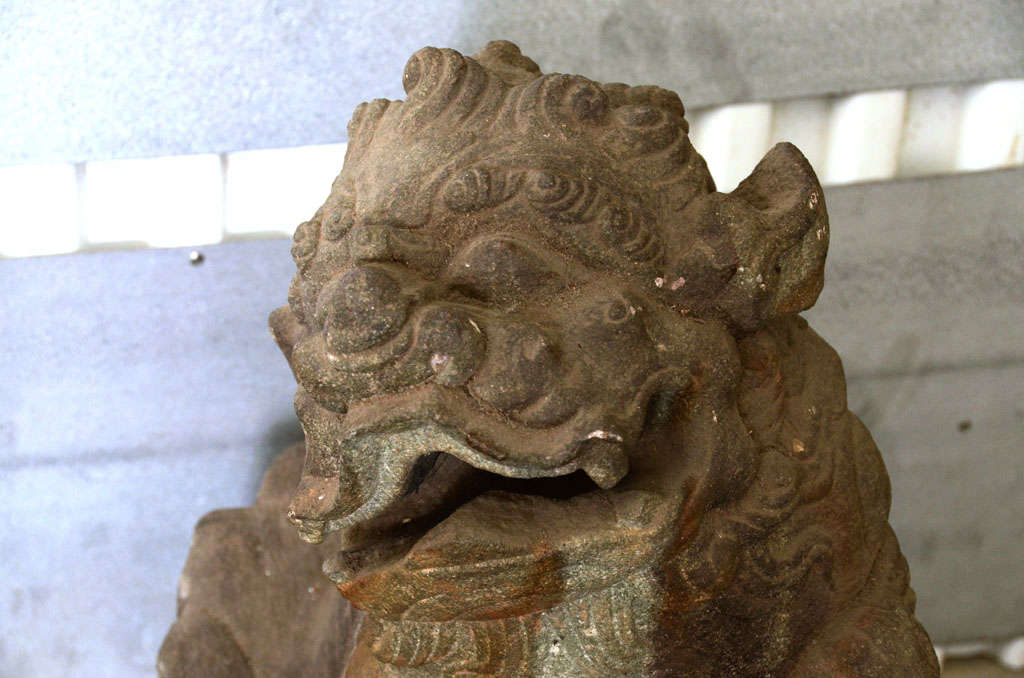 Pair of Late 18th Century Qing Dynasty Peking Carved Limestone Foo Dogs 2