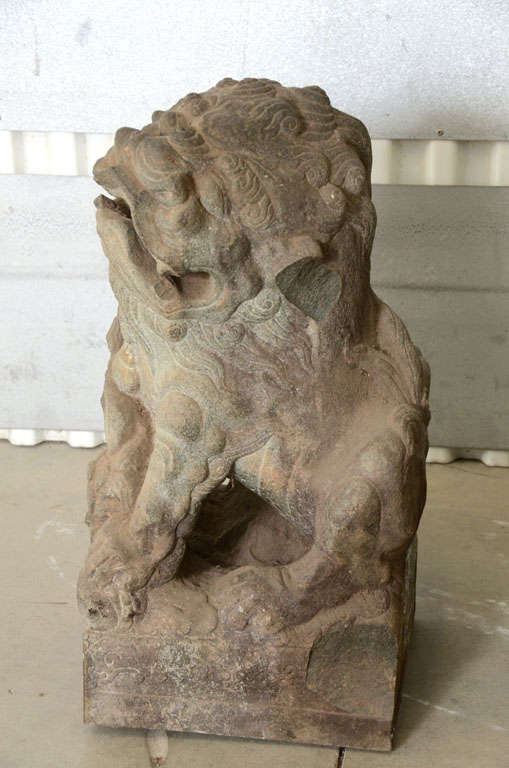 Pair of Late 18th Century Qing Dynasty Peking Carved Limestone Foo Dogs 4