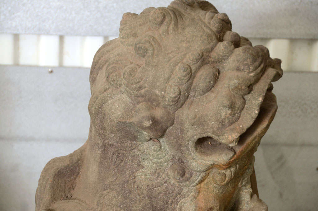 Pair of Late 18th Century Qing Dynasty Peking Carved Limestone Foo Dogs 5