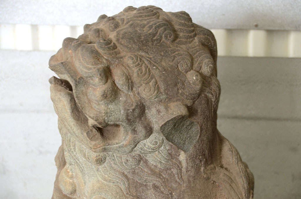 Pair of Late 18th Century Qing Dynasty Peking Carved Limestone Foo Dogs 6