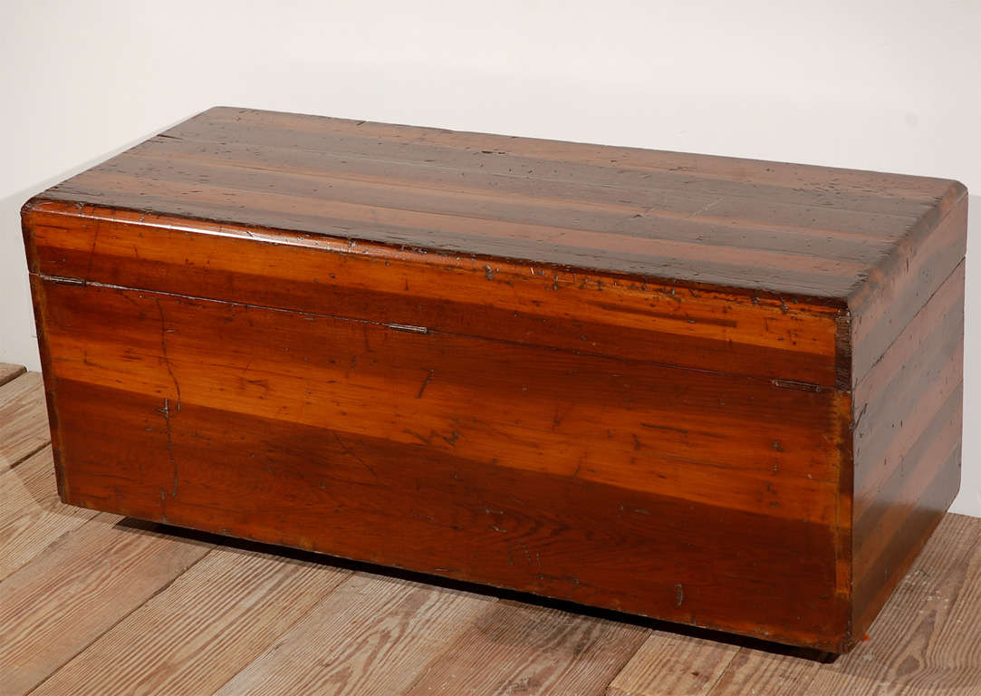 Cedar Trunk 3