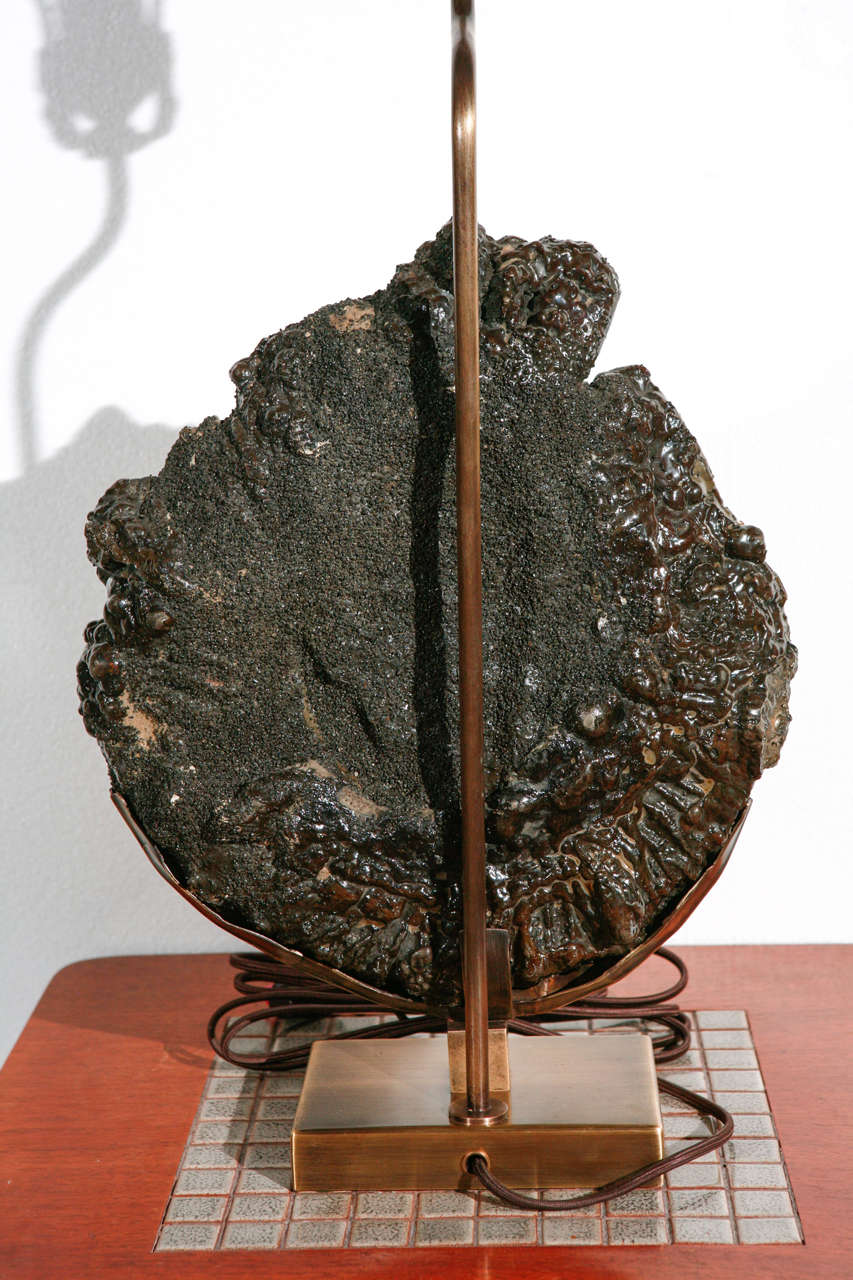Pair of Ammonite Table Lamps 3