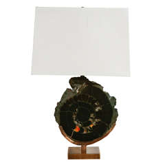 Pair of Ammonite Table Lamps