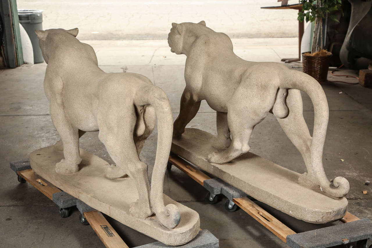 One of a pair of carved limestone mountain lions in stride. Some small chips.