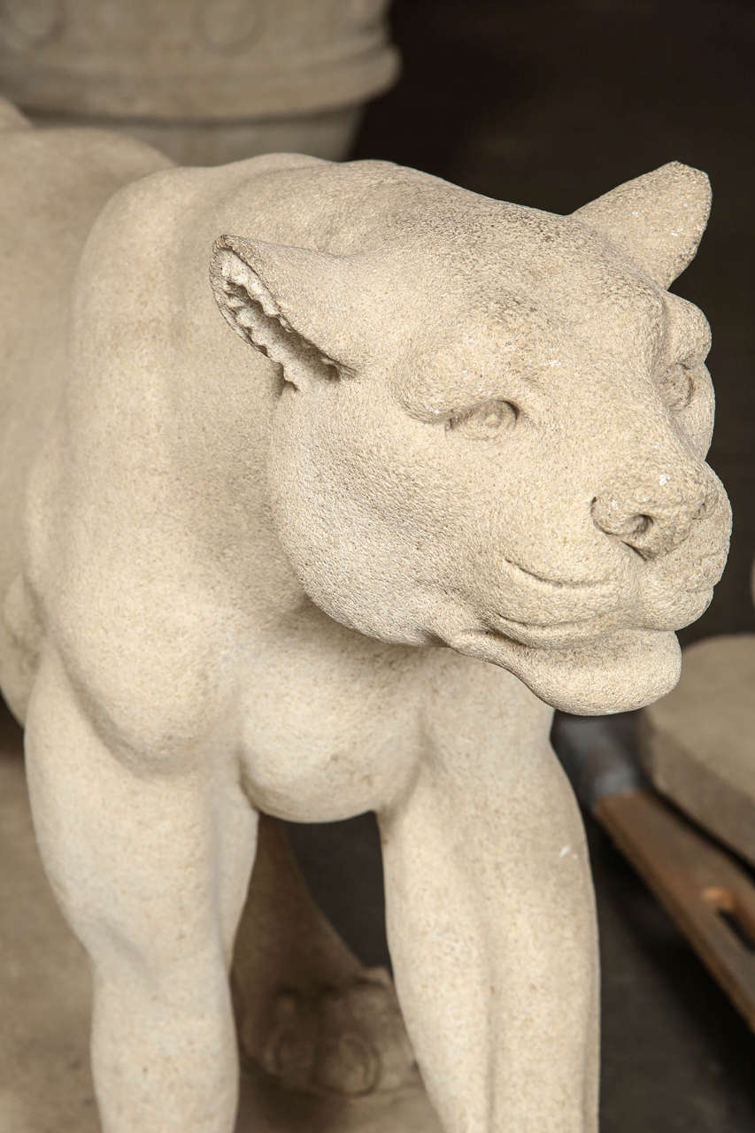 Art Deco Mountain Lion Statues in Carved Limestone at 1stDibs