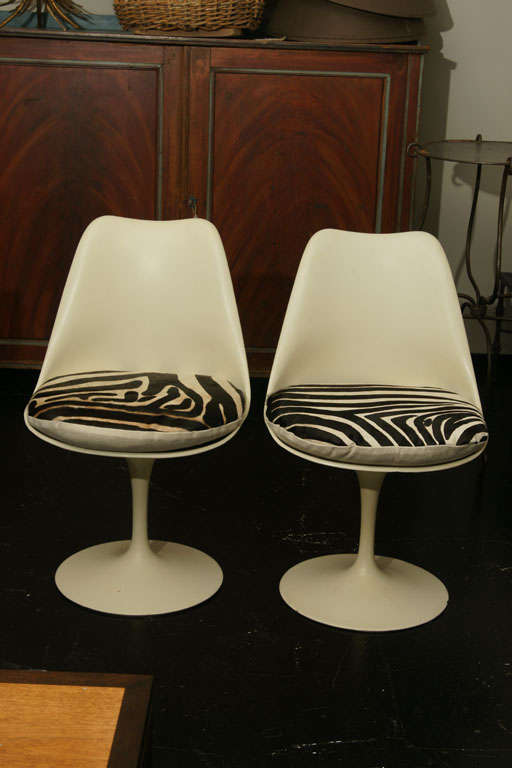 A set of 8 tulip side chairs by Eero Saarinen, upholstered in zebra printed cowhide.
