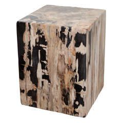 Exquisite Petrified Teak Wood Square Pedestal Side Table/Stool