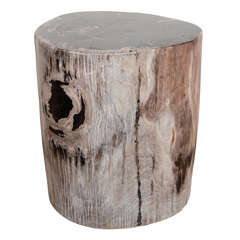 Exquisite Natural Petrified Teak Wood Side Table or Stool