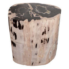 Exquisite Petrified Teak Wood Side Table and Stool