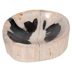 Hand Polished Petrified Teak Wood Bowl