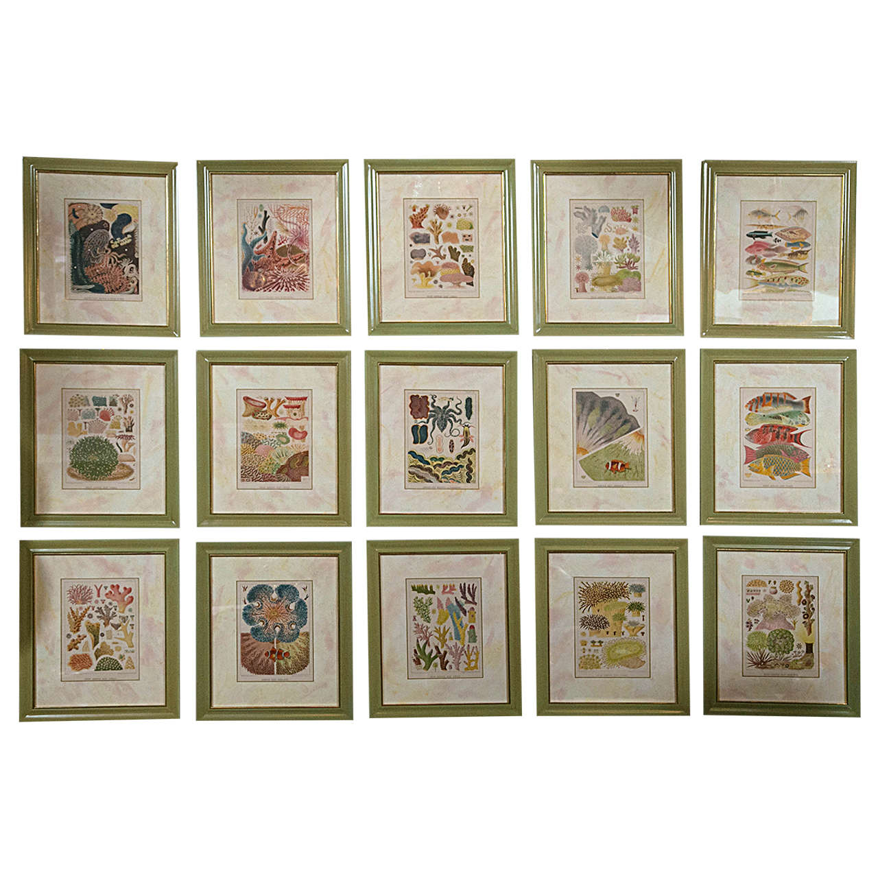 A set of 15 chromolithographs of the Great Barrier Reef by W. Saville-Kent framed in archival materials.
