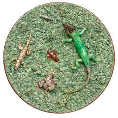 19th Century Palissy Style Plate 3
