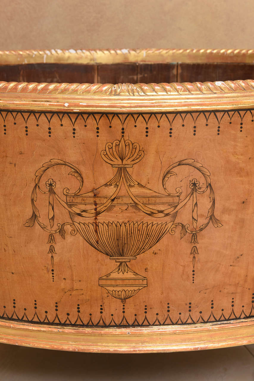 Large Adam Style Satinwood and Gilt Cellaret or Jardiniere In Excellent Condition In New York, NY