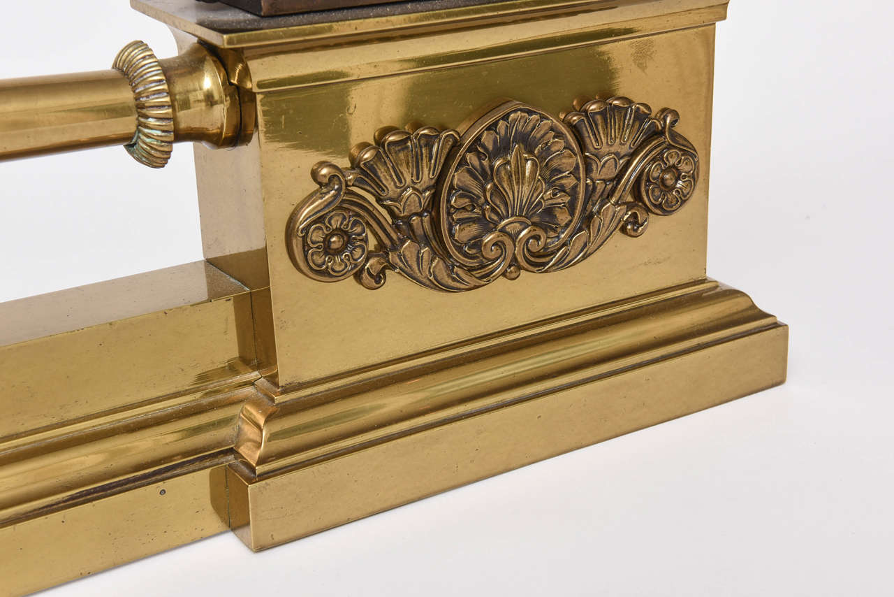 French Empire Bronze and Ormolu Fender with Recumbent Lions 5