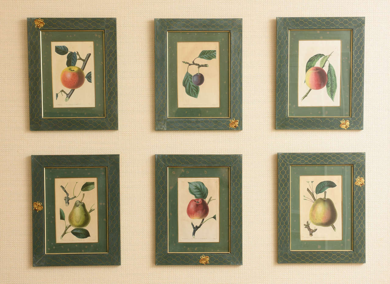 Each hand-tinted print depicting a different fruit, within a green frame whimsically hand-painted with gilt chicken wire and bumble bee decoration. Dimension is framed.