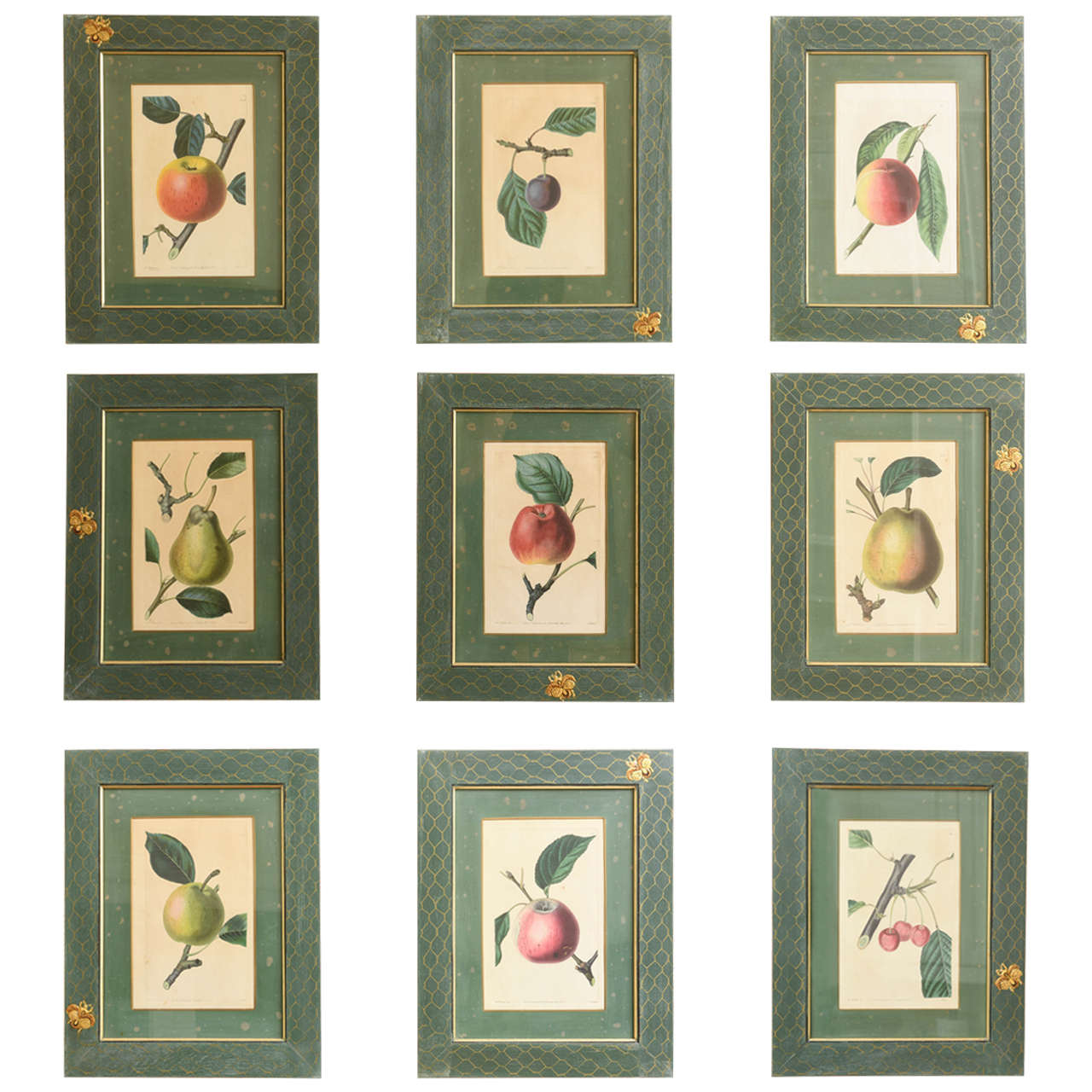 Set of 19th Century Mrs. Wilkers Fruit Prints