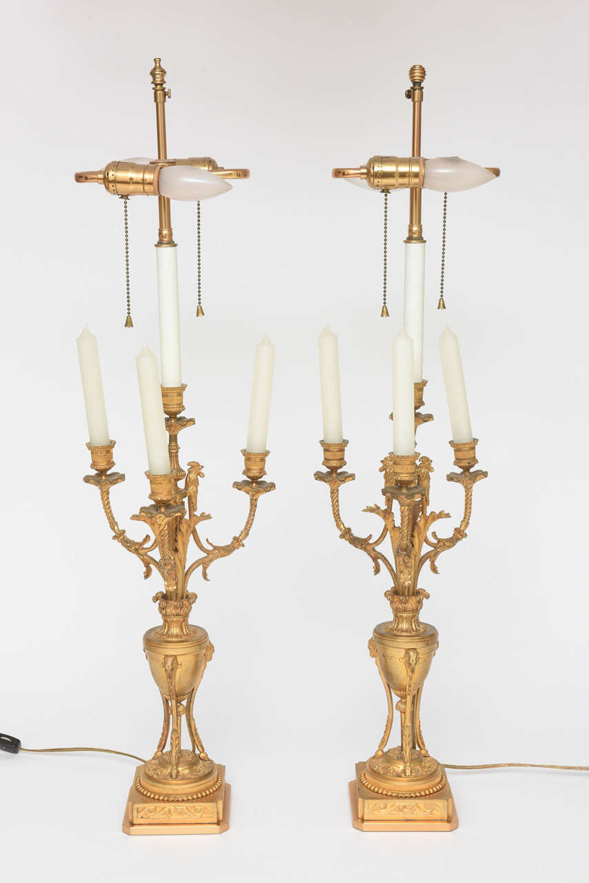 Superb Pair of French Neoclassical Ormolu Candelabra Lamps 2