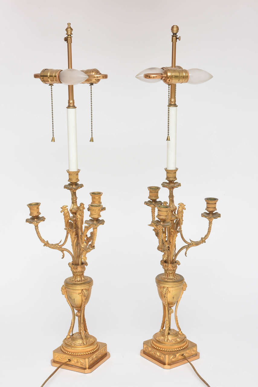 Superb Pair of French Neoclassical Ormolu Candelabra Lamps 5