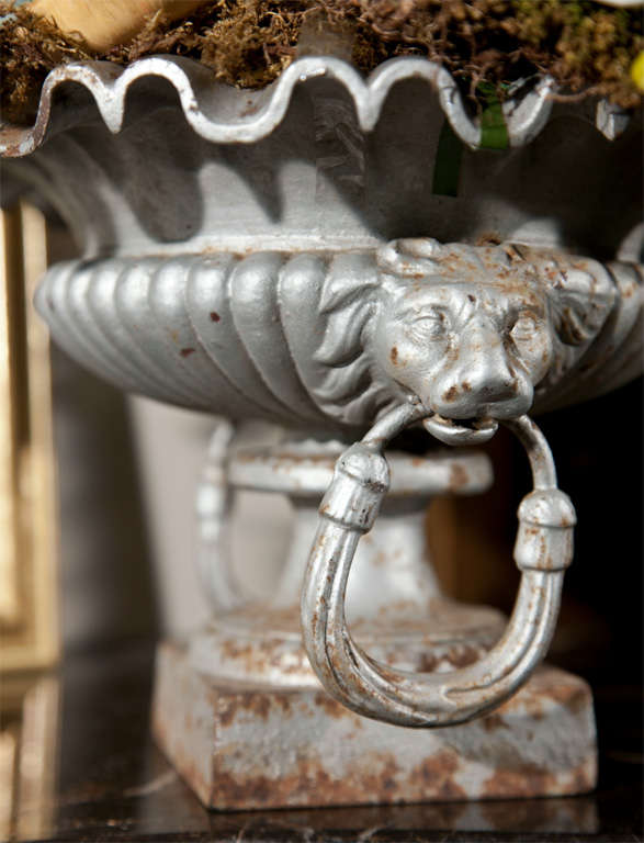 French Tabletop Cast Iron Urn with Ruffled Rim and Ringed Lion Handles For Sale 3