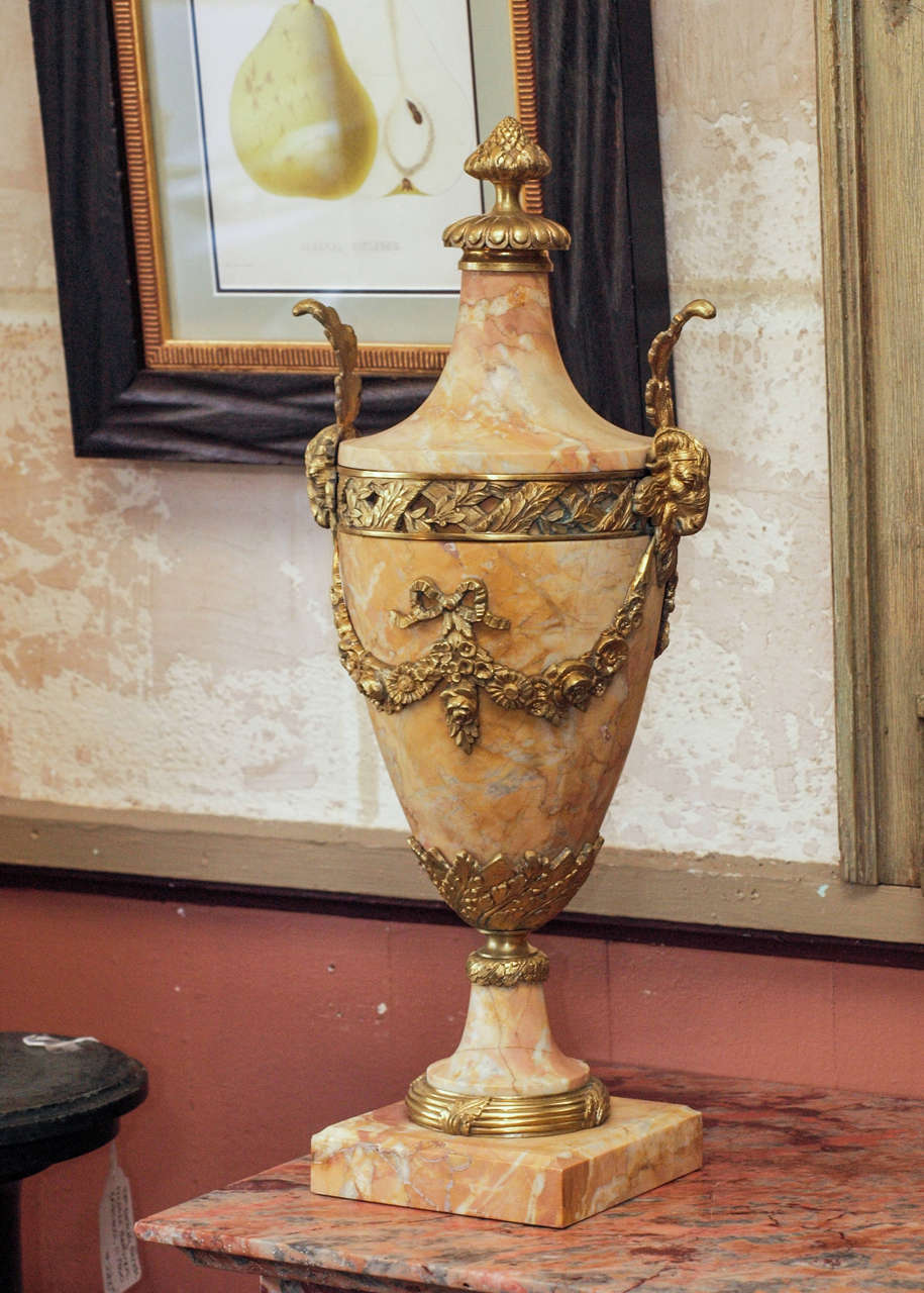 Pair of Elegant Marble Cassolettes with Bronze Dore Mounts