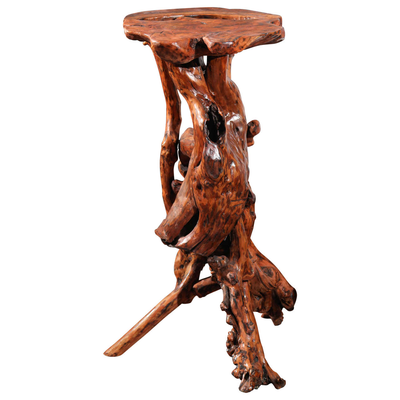 Root Side Table or Display Stand