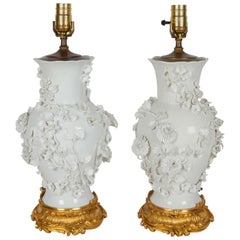 Paire de lampes anciennes en porcelaine blanche de Chine avec fleurs en relief