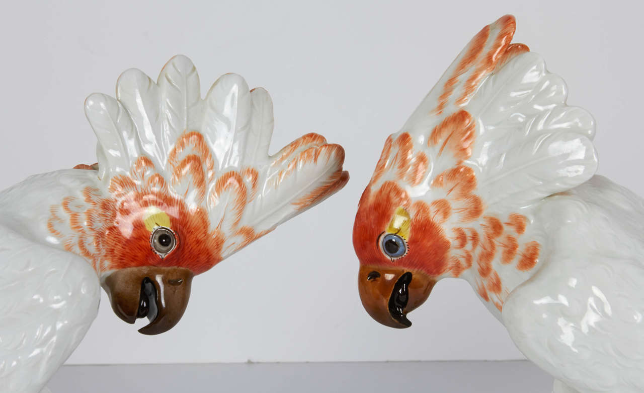 German Pair of Meissen Porcelain Figures of Cockatoos or Birds