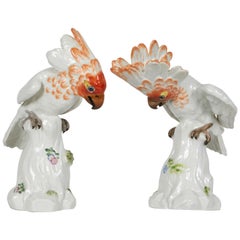 Pair of Meissen Porcelain Figures of Cockatoos or Birds