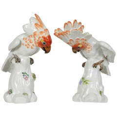 Pair of Meissen Porcelain Figures of Cockatoos or Birds 9