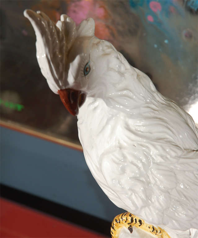 Pair of  Regency Italian Ceramic Cockatoos 7