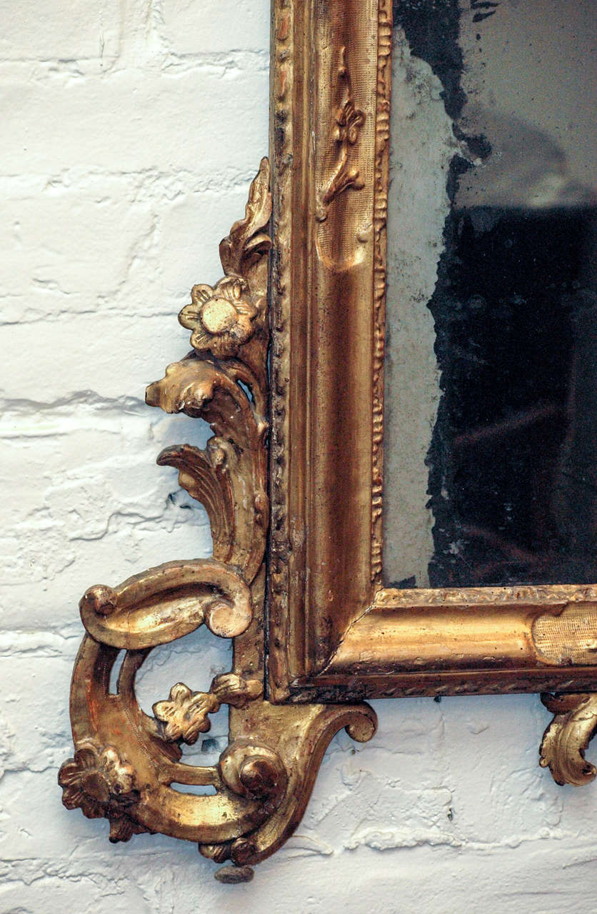 Baroque Venetian Gilt Wood Looking Glass For Sale 1