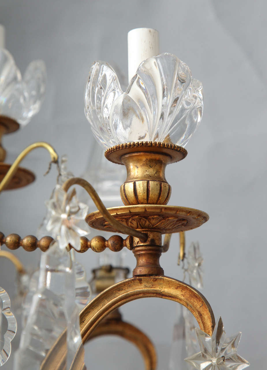 Eight Light French Louis XVI Style Chandelier 2