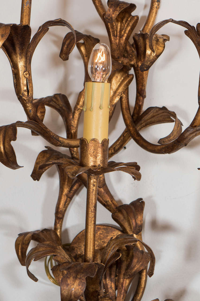 Pair of Large 1950s Italian Gilt Iron Floral Sconces In Good Condition For Sale In New York, NY