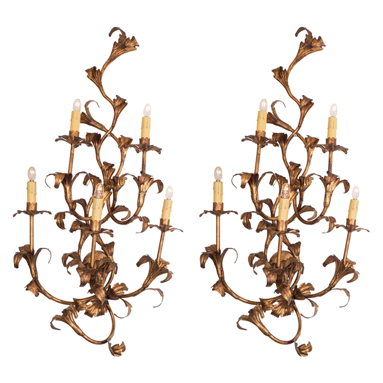 Pair of Large 1950s Italian Gilt Iron Floral Sconces